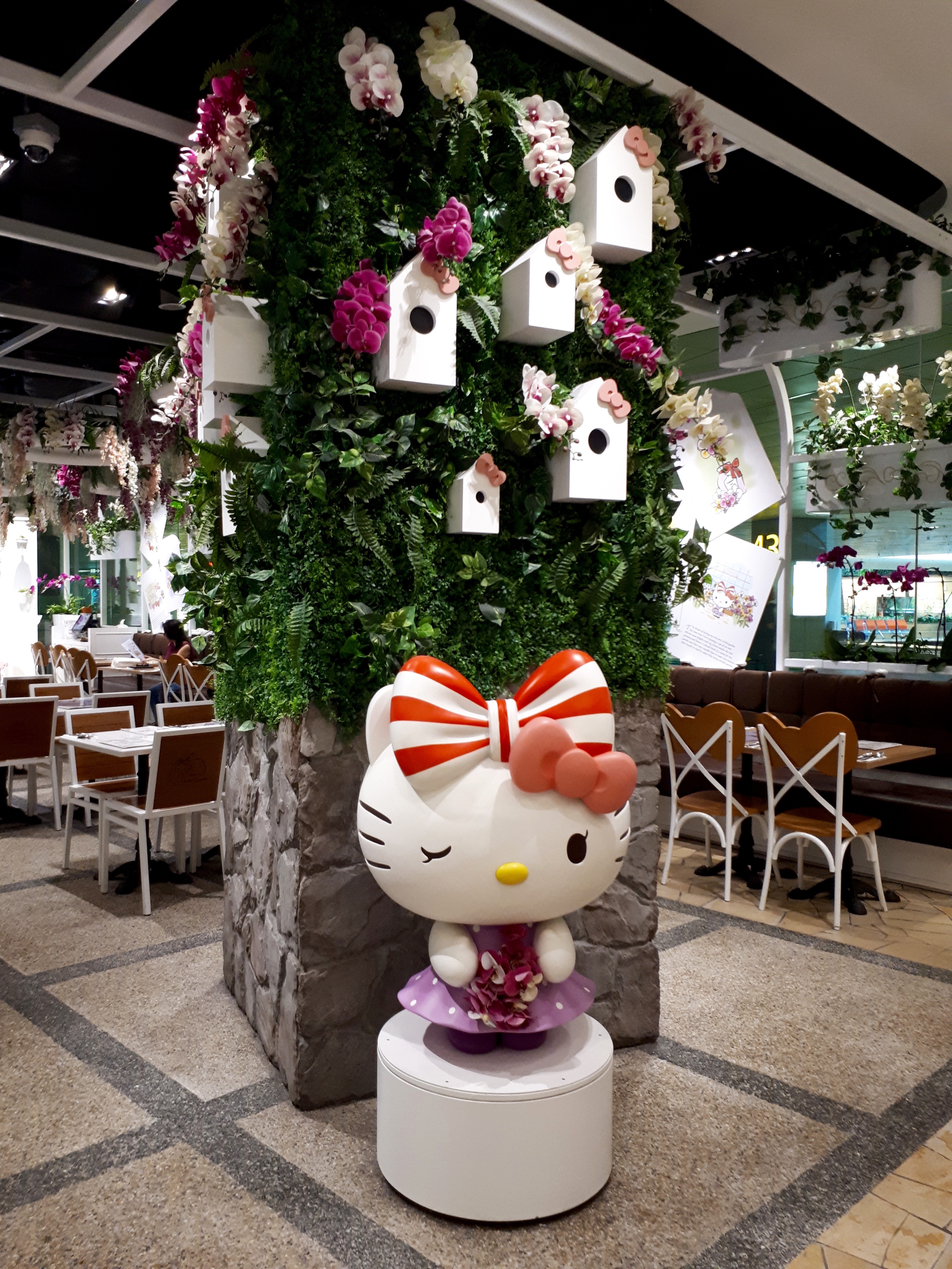 Hello Kitty Orchid Garden