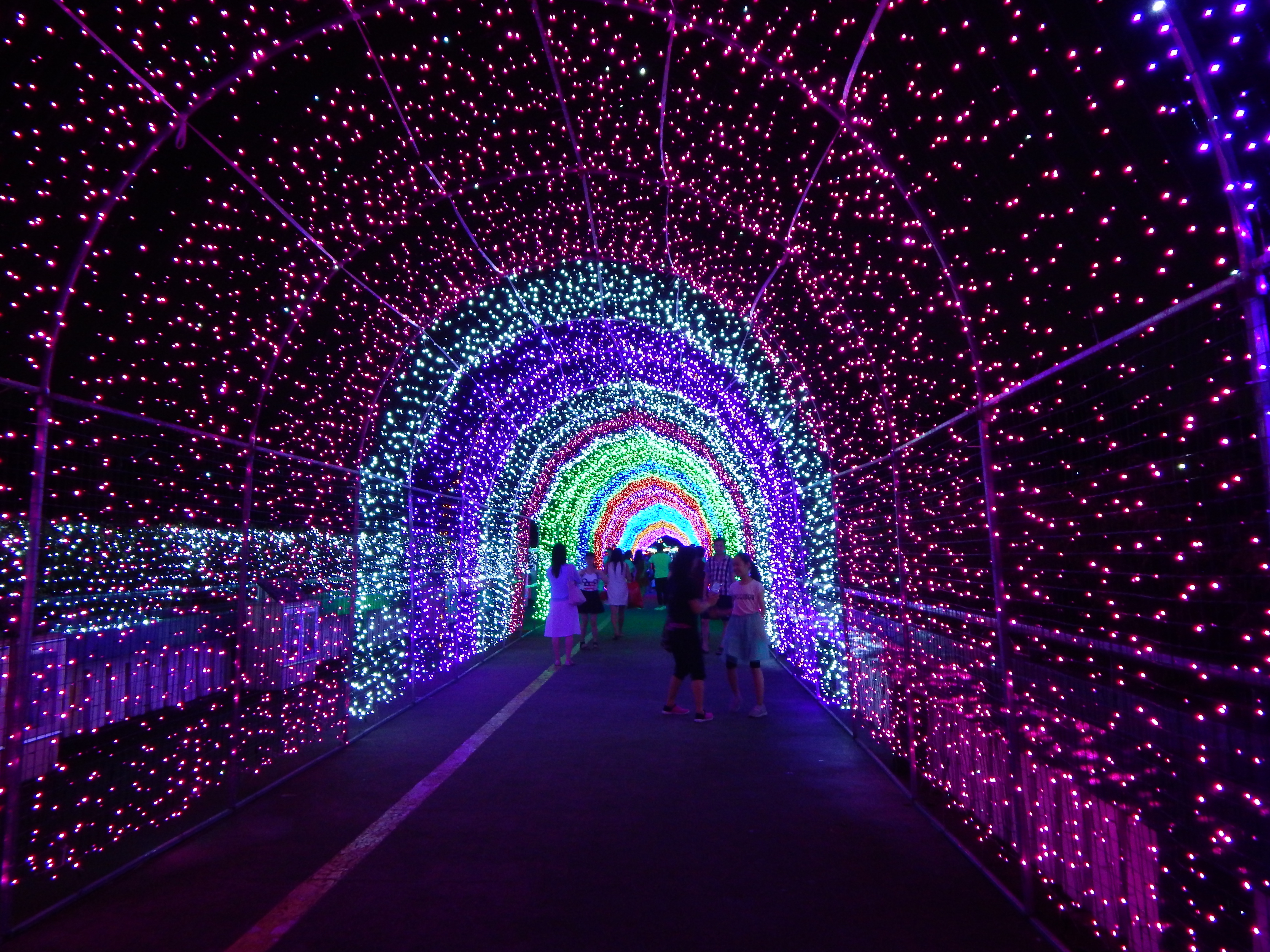 Shenzhen Travel Diary: Festival of Lights