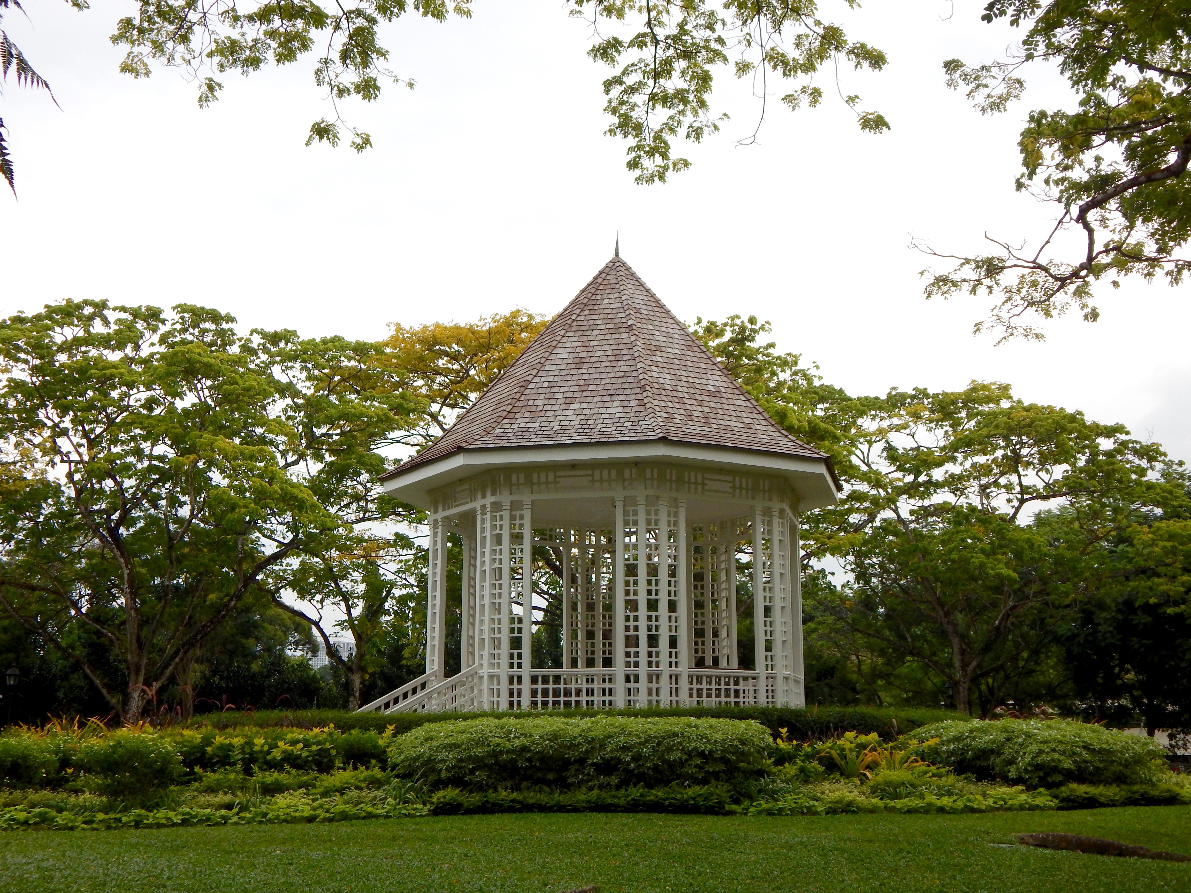 Exploring Singapore Botanic Gardens
