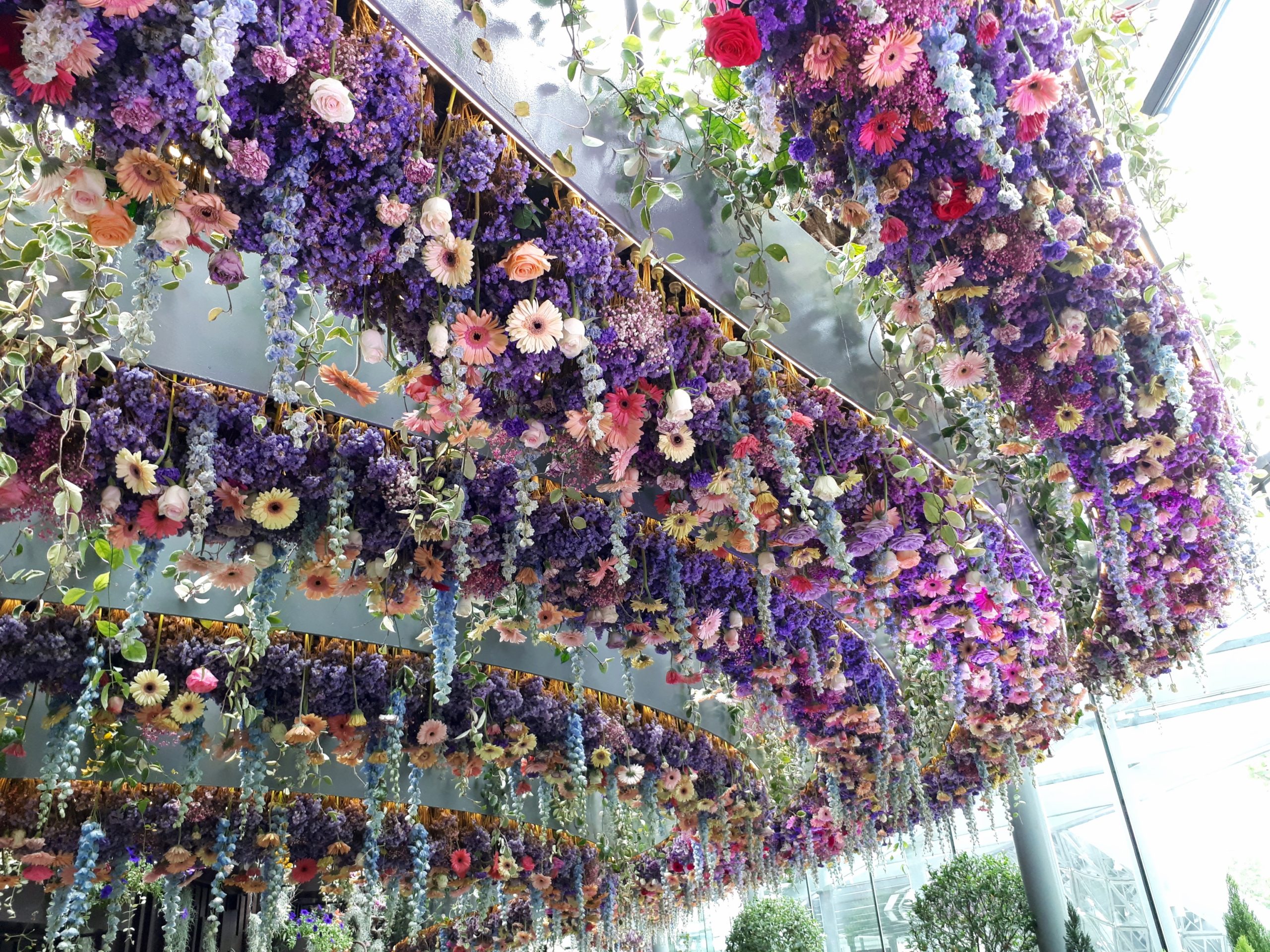 Photo Diary: Floral Fantasy, Gardens by the Bay