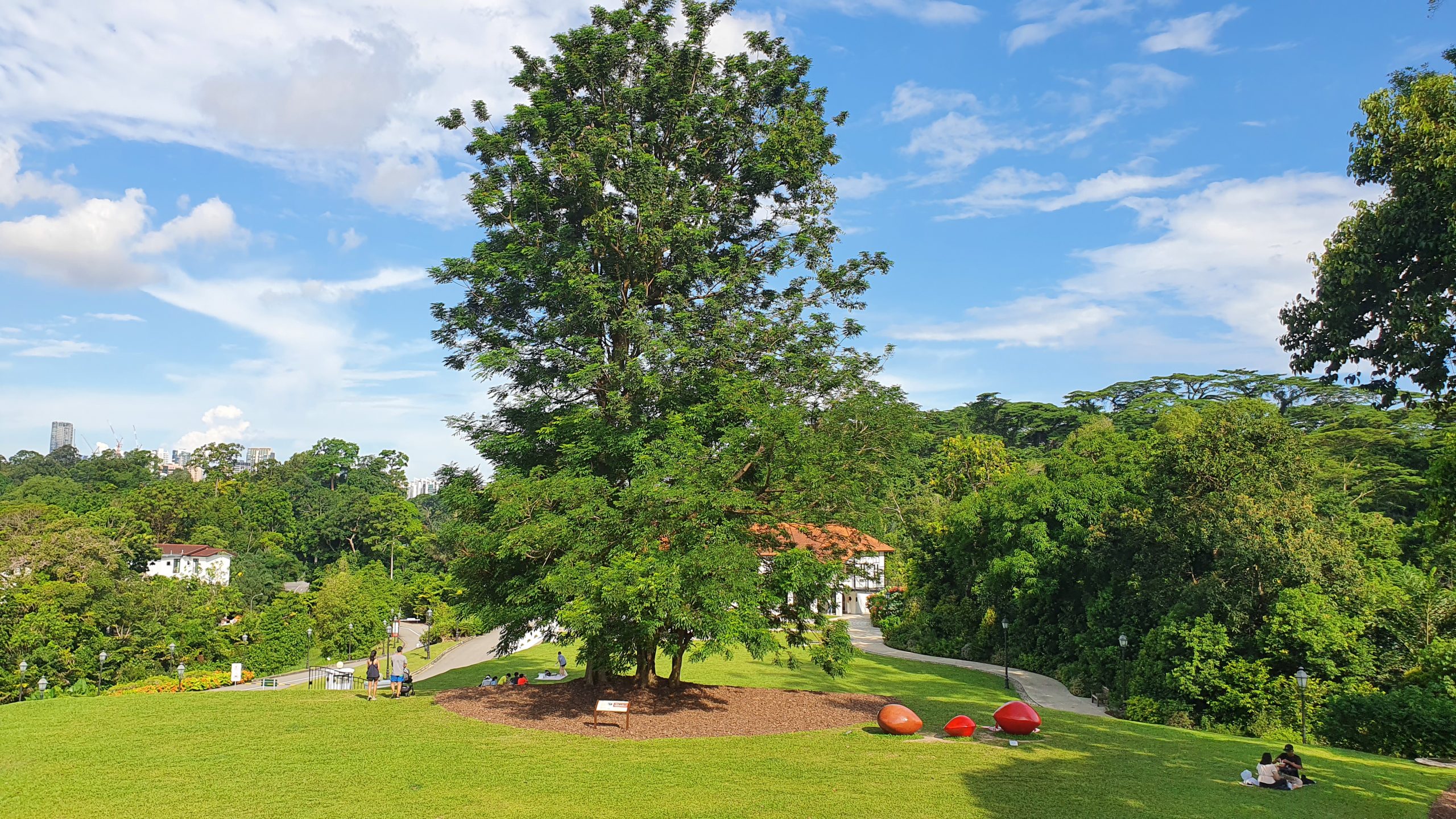 Gallop Extension, Singapore Botanic Gardens